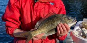 IMG_20220819_191817