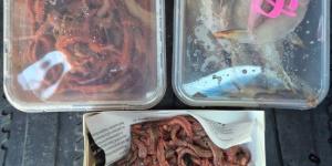 IMG_20251020_072232