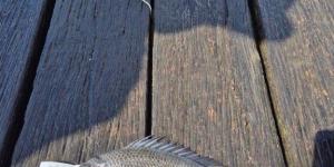 IMG_20251020_072238
