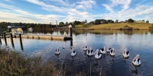IMG_20251020_072507