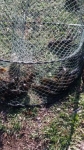 20160328_100237