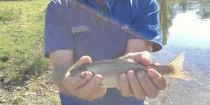 IMG20210403155945