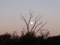 P4030149