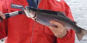 IMG_20220529_105720