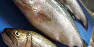 IMG_20220531_200327