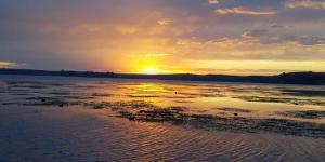 Resized_20210502_071124