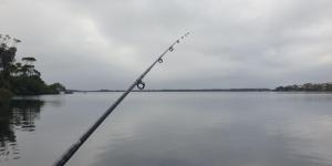 IMG_20240220_182358