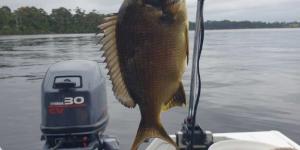 IMG_20240220_182421