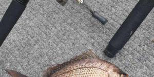 IMG_20240220_182435