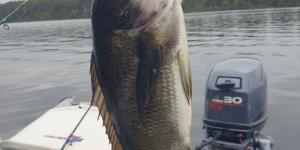 IMG_20240220_182606