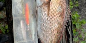 IMG_20250610_143618
