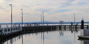 IMG_8667