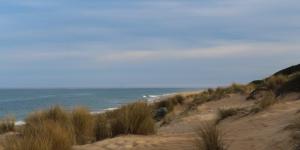 IMG_8686