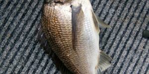 IMG_20221017_195356