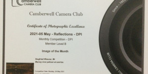 Photo-Certificate