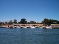 Melbourne 1106 005