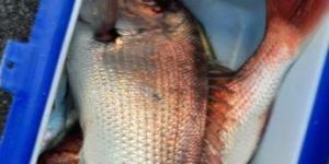 IMG_20251103_131015