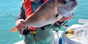 IMG_20260106_162718