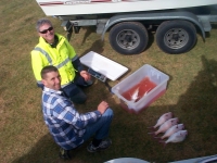 Westernport 069